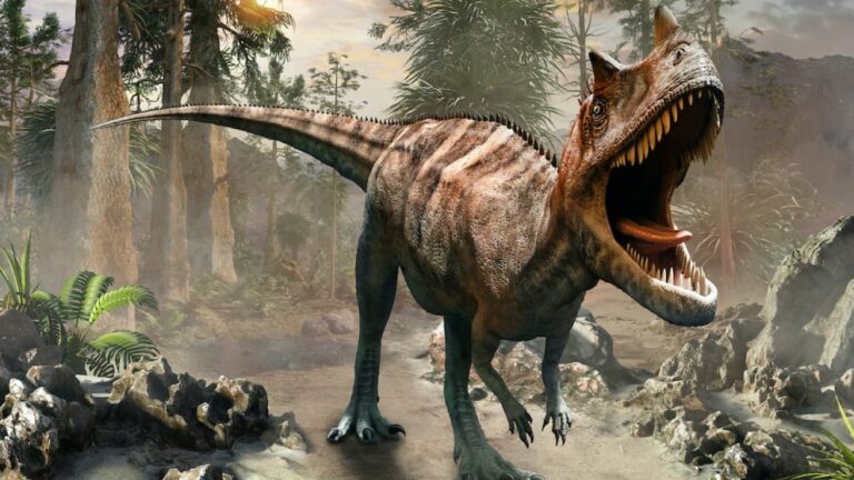 How did dinosaurs adapt to their environment?