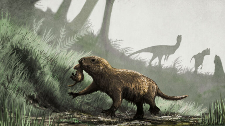 Why Did Mammals Never Grow As Large As The Dinosaurs?