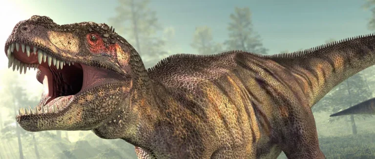 If Evolution Is True, How Do You Explain Dinosaurs?