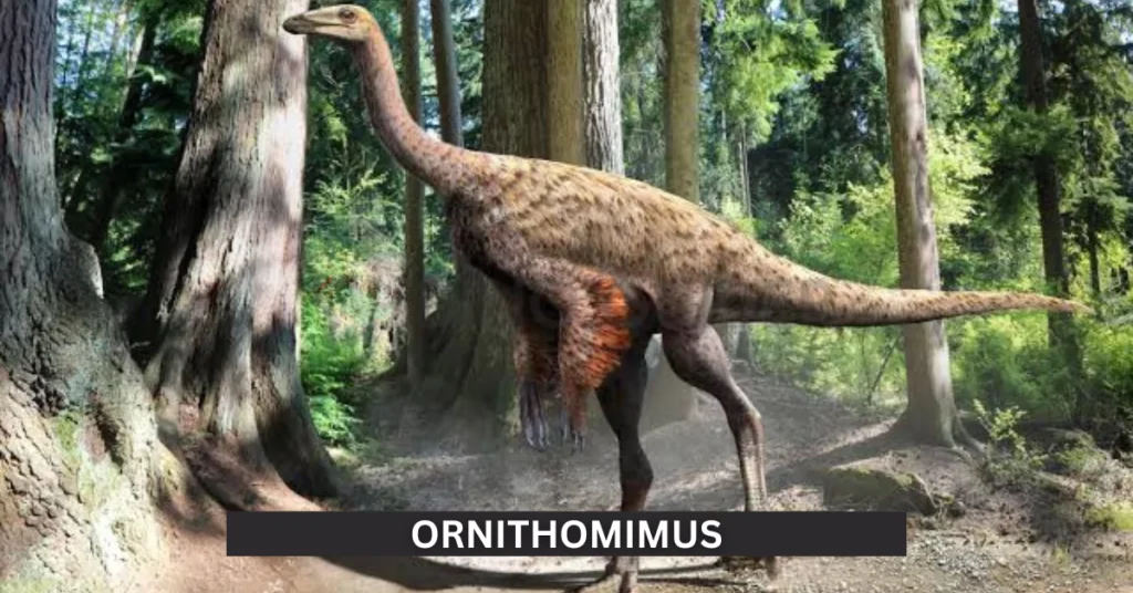 Ornithomimus