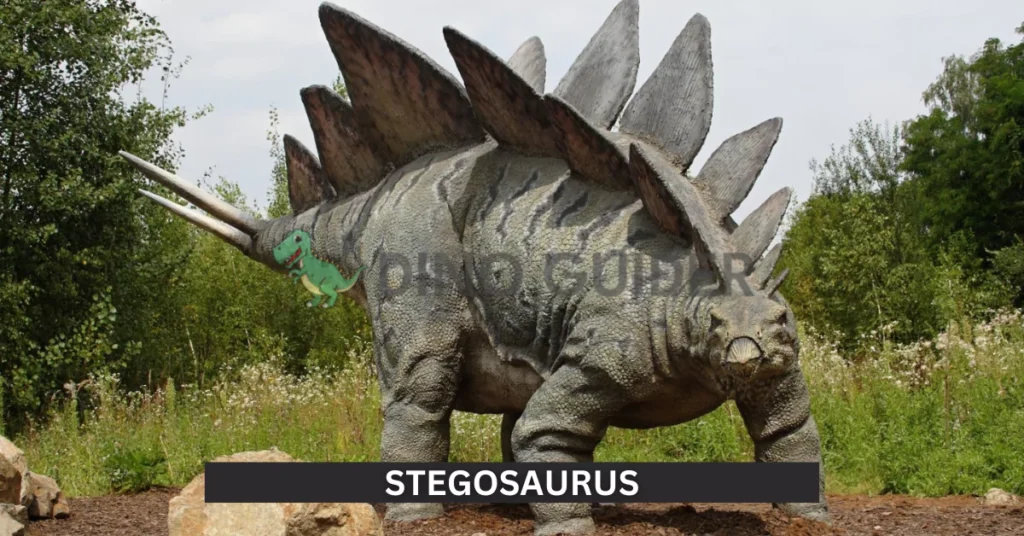 Stegosaurus