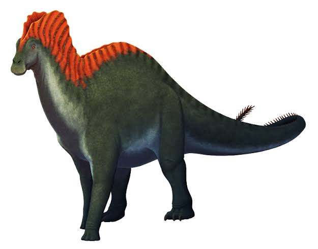 Amargasaurus – Nix Illustration