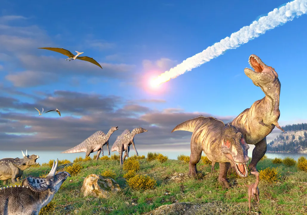 Dinosaur mass extinction: what caused it, which dinosaurs went extinct, and  how mammals survived - Discover Wildlife