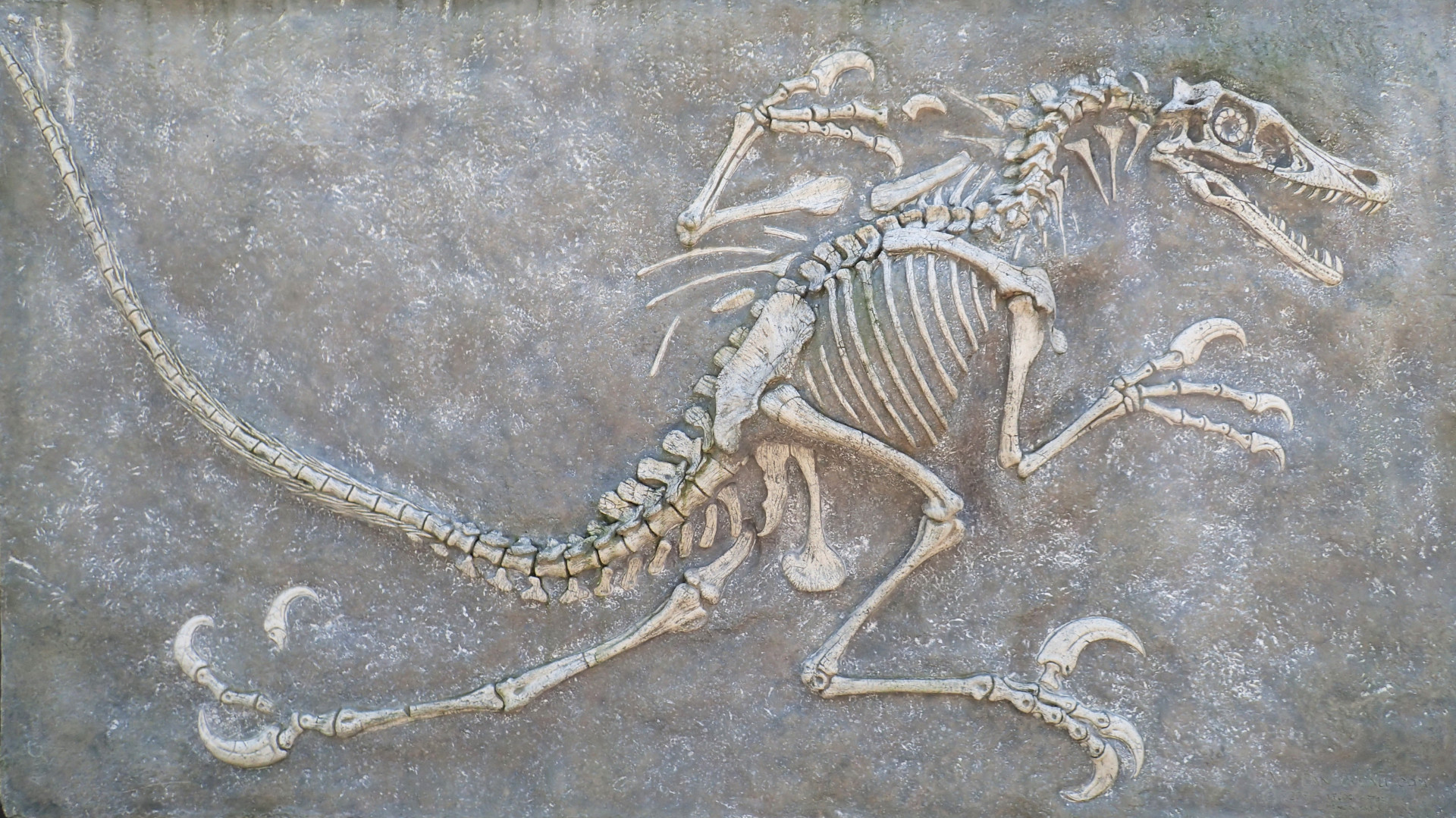 AI breakthrough could revolutionize how we research dinosaur fossils