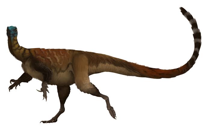 A Dinosaur A Day — Thecodontosaurus antiquus