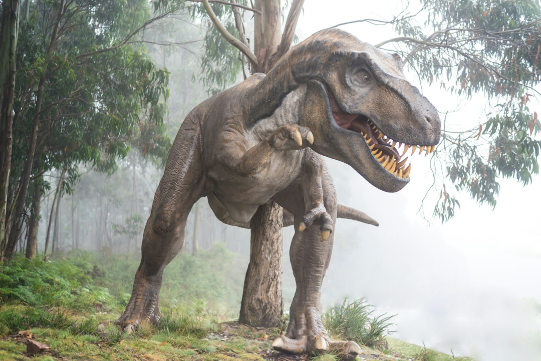 The Significance of Dinosaurs in Paleontology - Science, Technology,  Engineering and Math - STEM Magazine