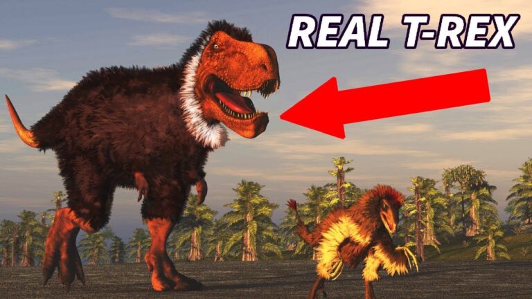 Misconceptions About T-rex